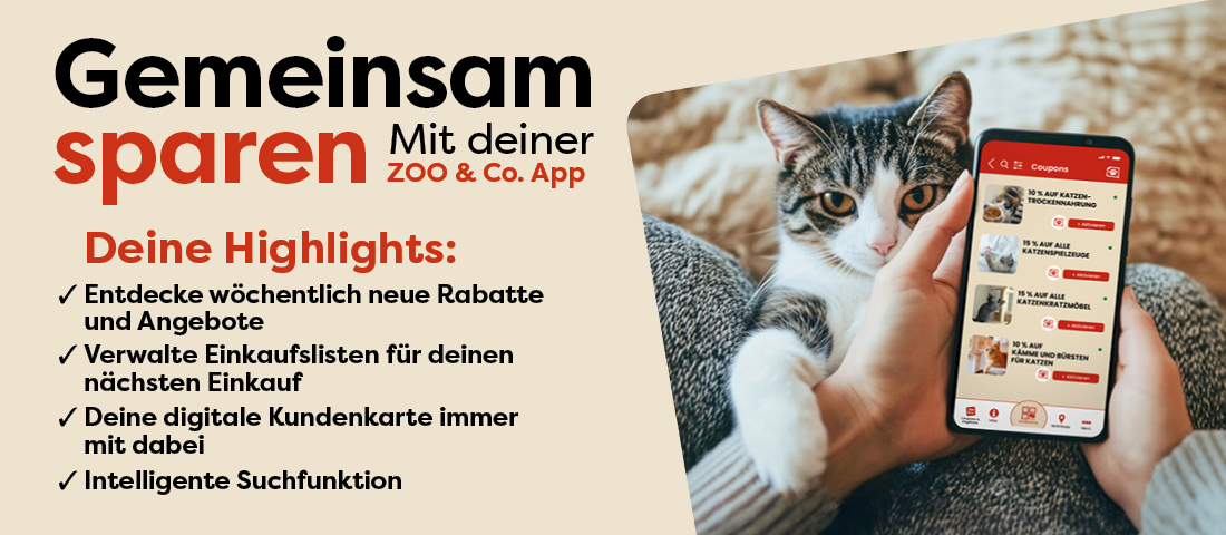 Entdecke unsere ZOO & Co. App!
